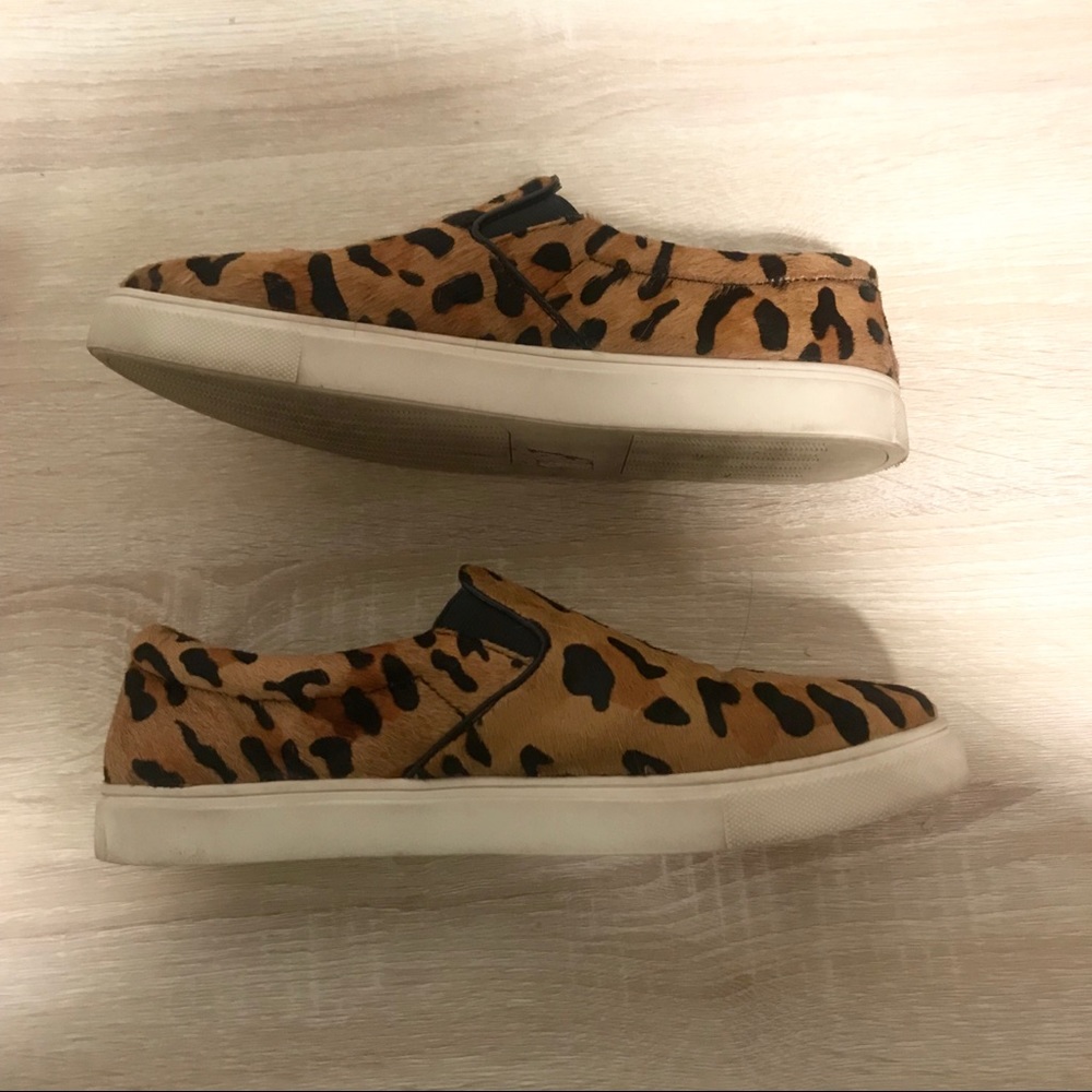 Steve Madden | Ecentric Leopard Slip on Sneaker - Picture 5 of 7